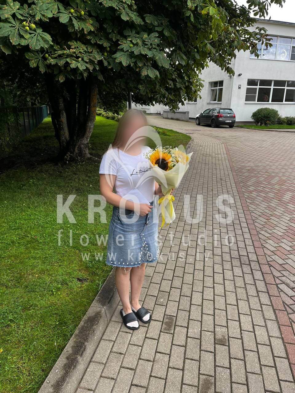 Deliver flowers to Rīga (beargrasspistaciasunflowerslimoniumcamomilessalal)