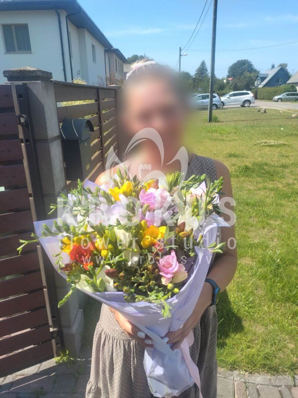 Deliver flowers to Rīga (freesiaamborella)