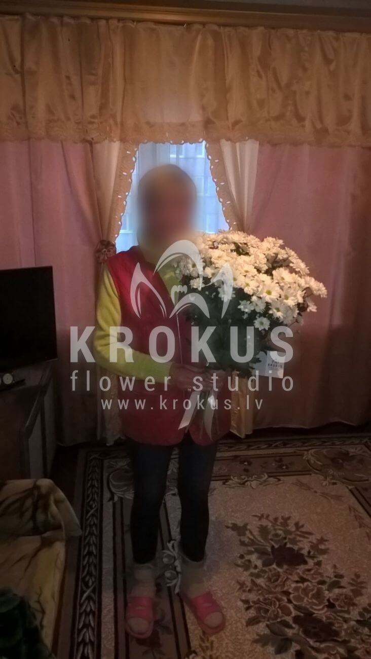 Доставка цветов в город Latvia (ромашкихризантемы)