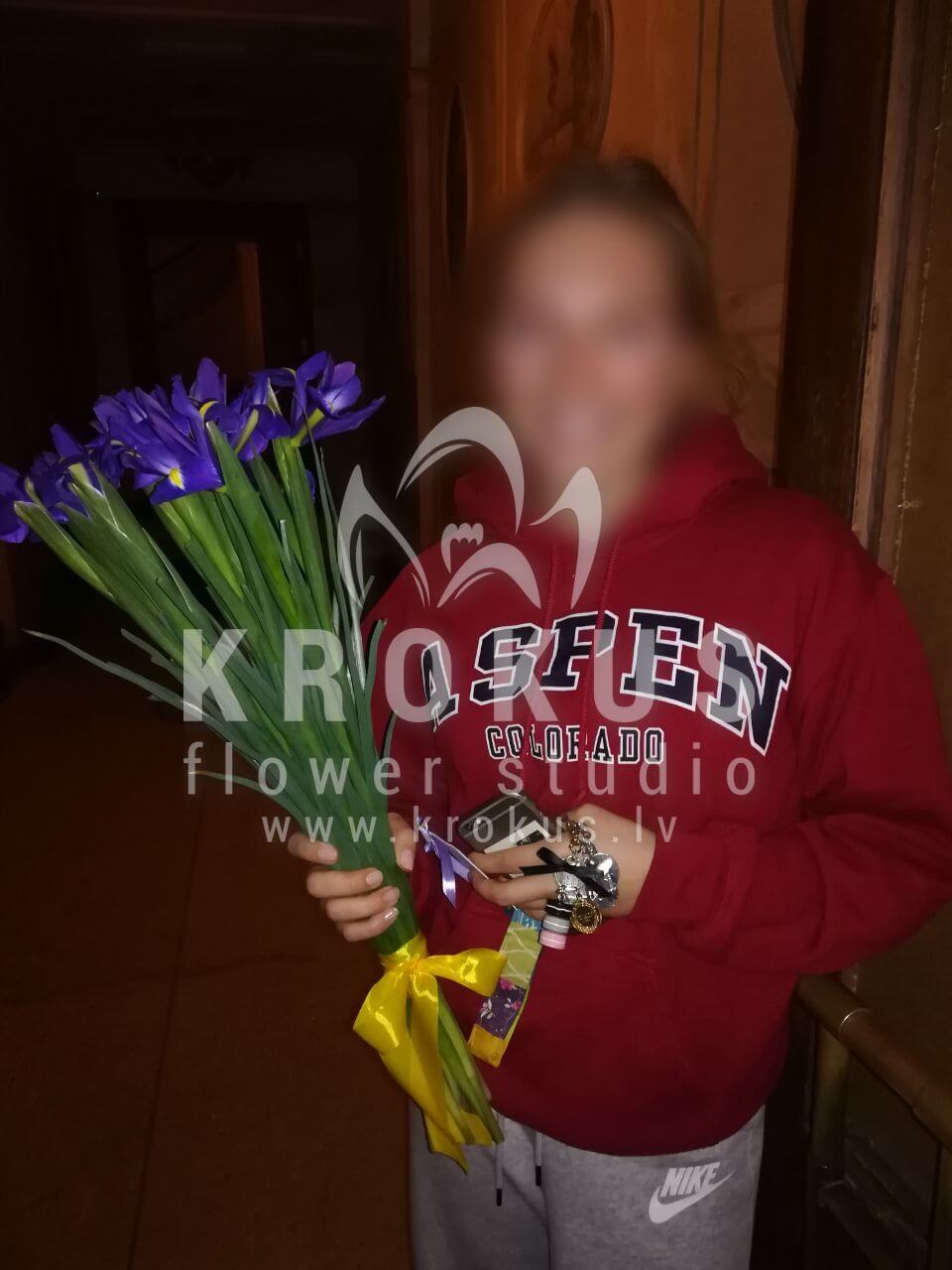 Доставка цветов в город Рига (ирисы)