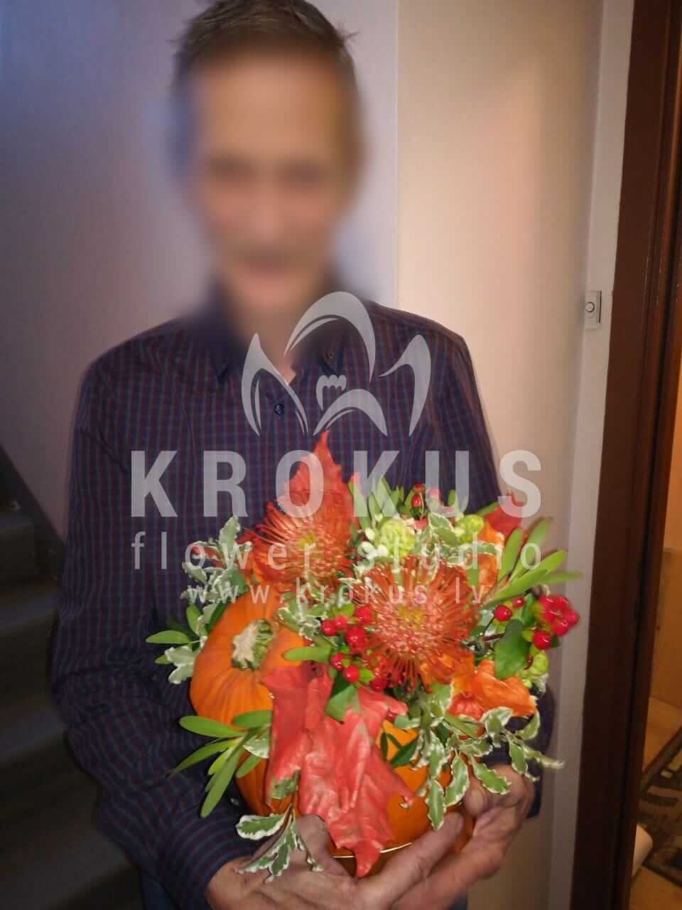 Доставка цветов в город Рига (илексбруниялеукадендронтыквалеукоспермум)