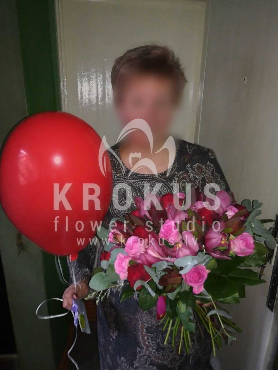 Deliver flowers to Rīga (pink rosesorchidsgum treeleucadendronred roses)