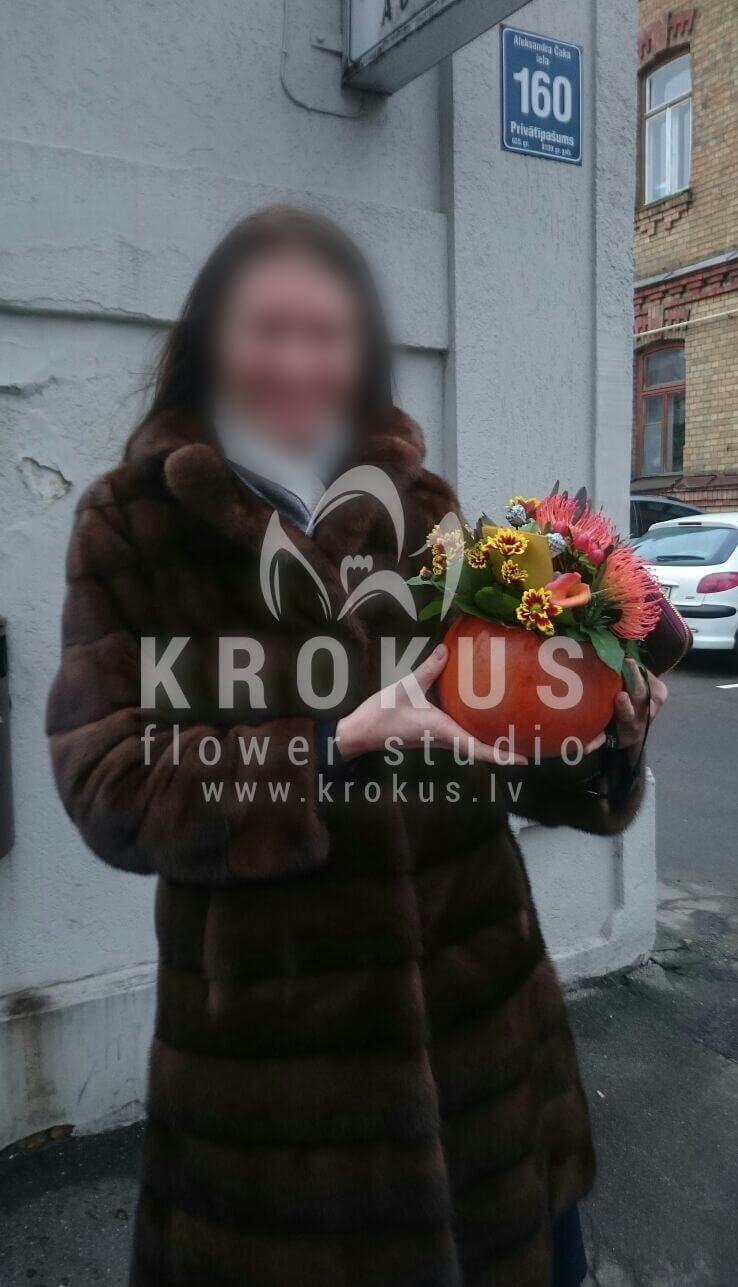 Deliver flowers to Latvia (ilexbruniapumpkinleucadendronleucospermum)
