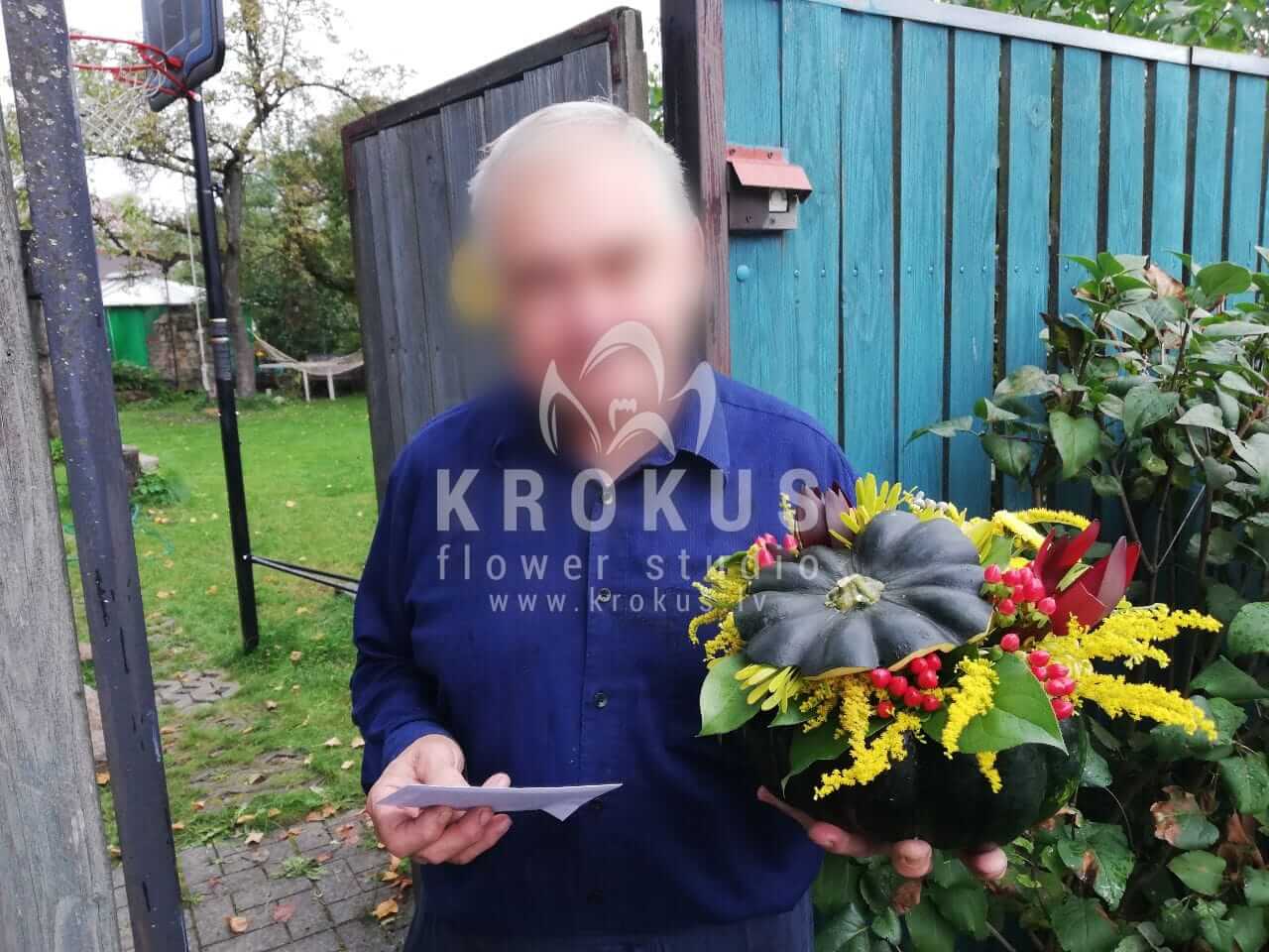 Deliver flowers to Rīga (ilexbrunialeucadendronpumpkinleucospermum)