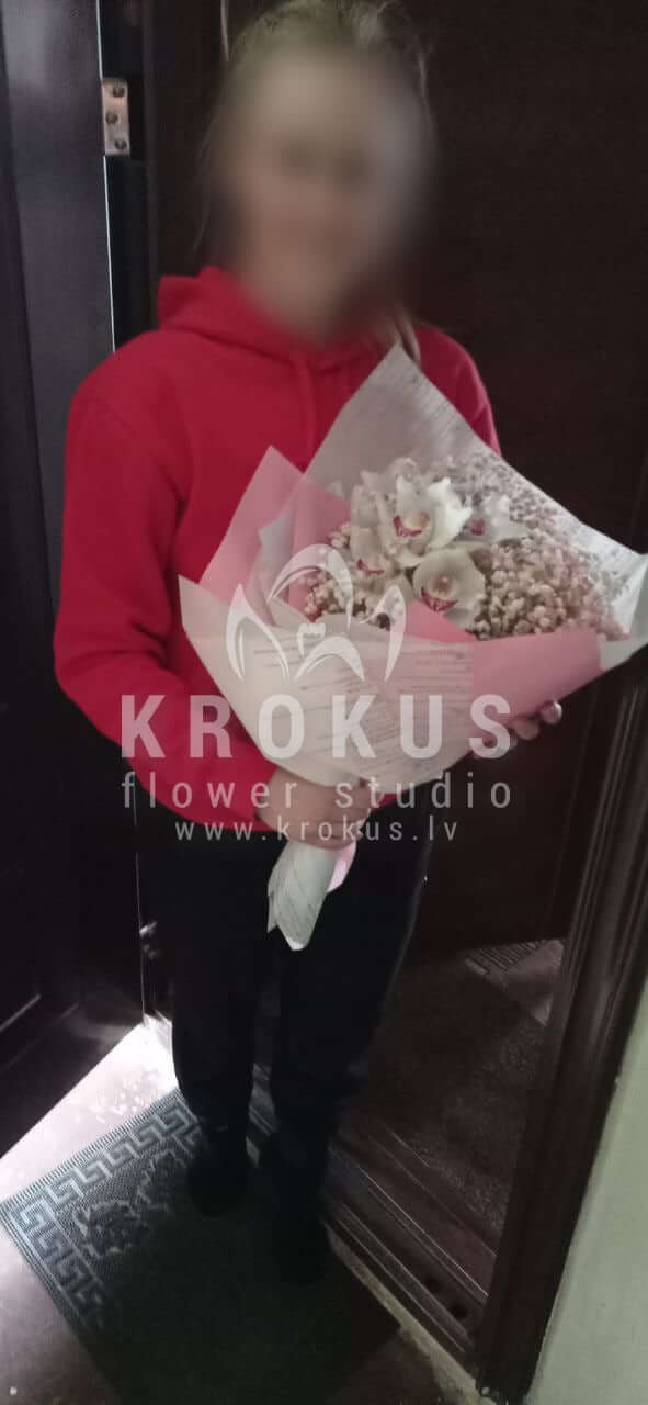 Deliver flowers to Rīga (gypsophilaorchids)