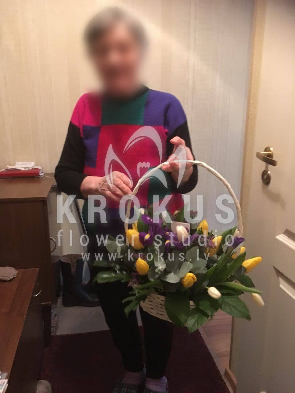 Deliver flowers to Rīga (tulipsirisesruscussalal)