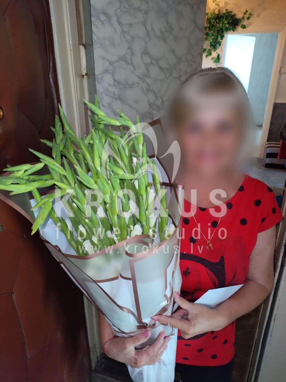 Deliver flowers to Rīga (gladioli)
