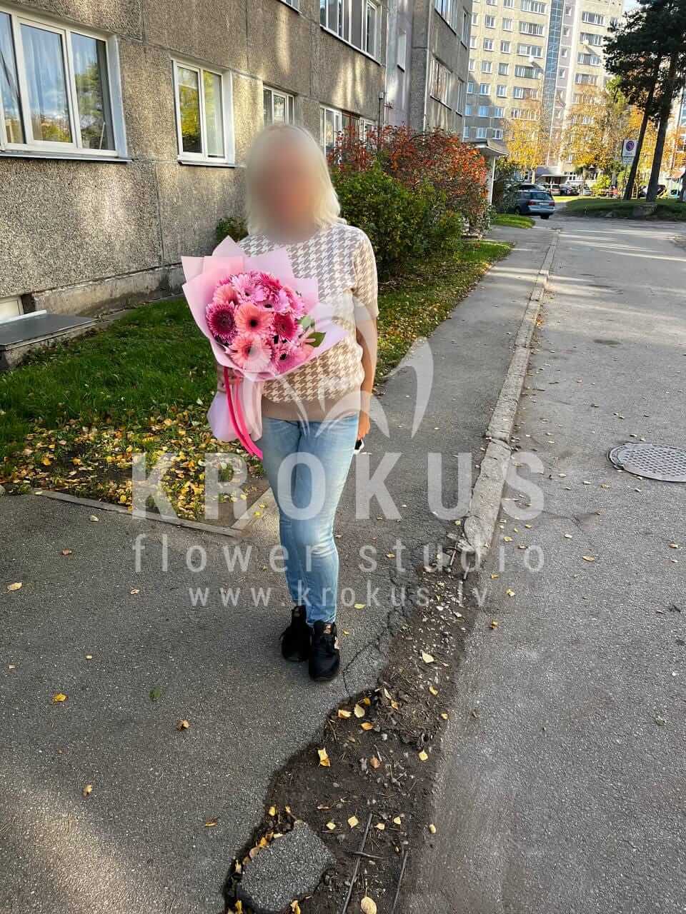 Ziedu piegāde Latvia Rīga (germini)