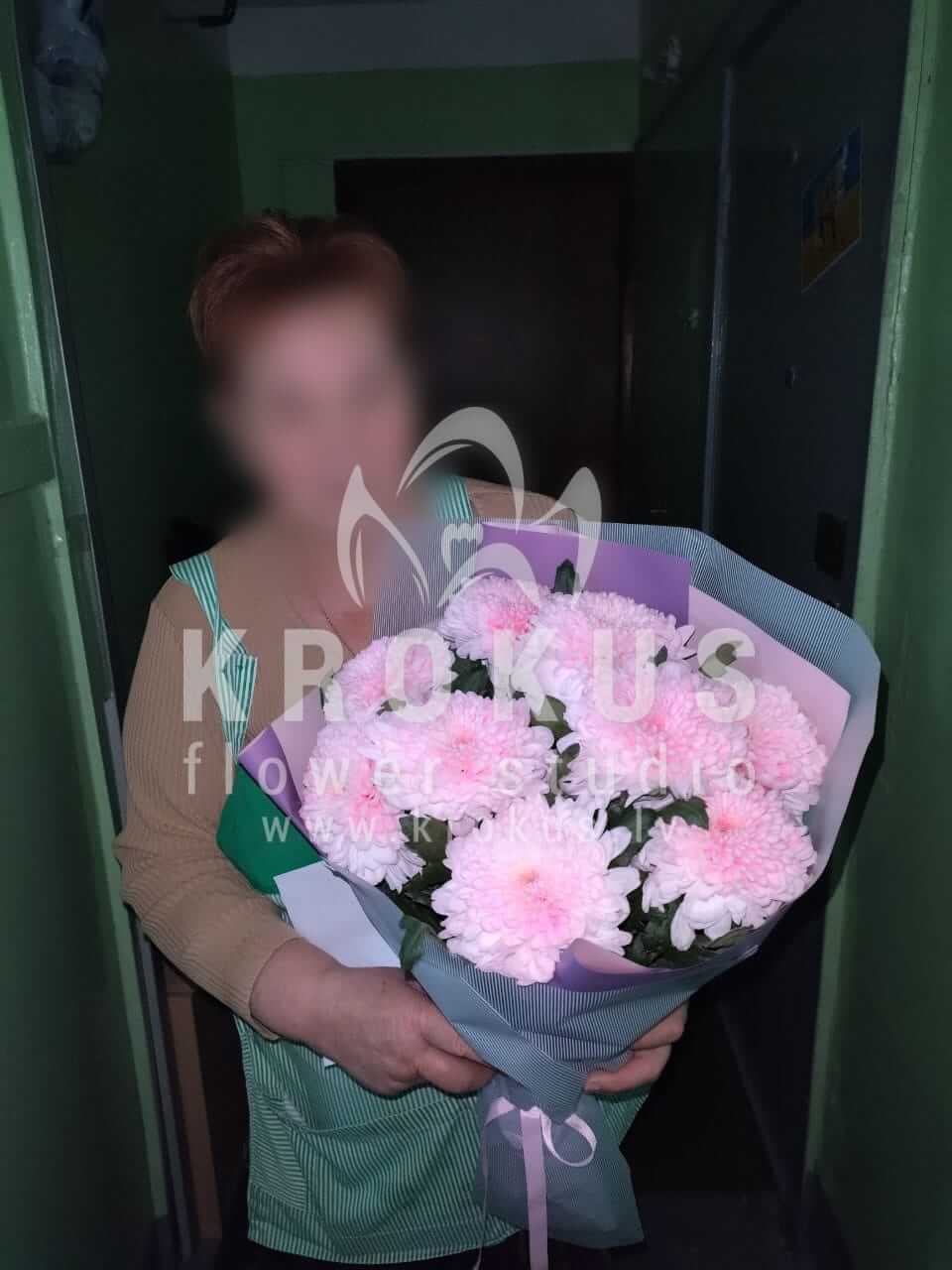 Доставка цветов в город Рига (хризантемы)