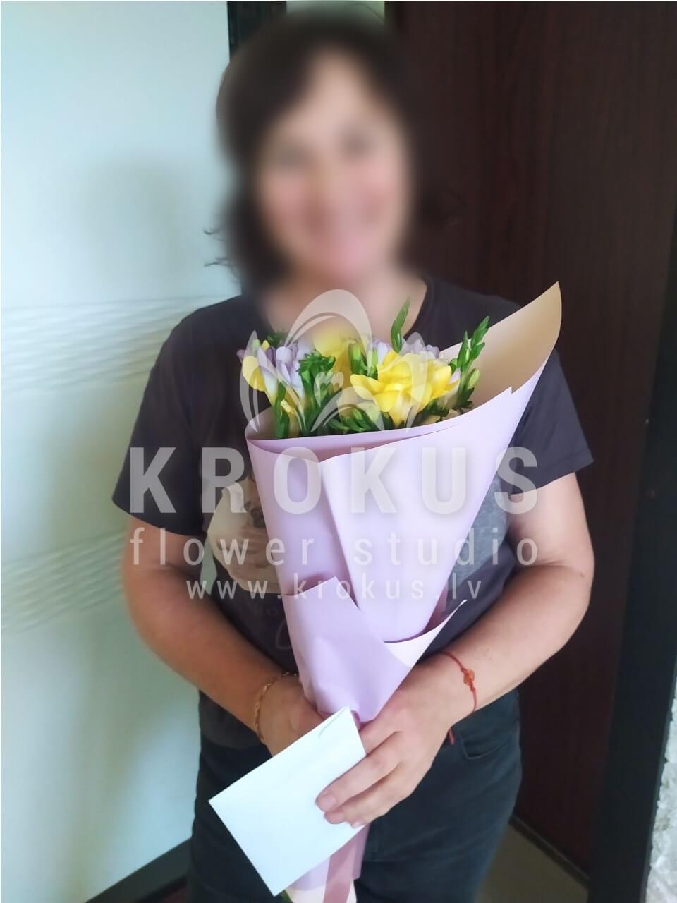 Deliver flowers to Ozolnieki (freesia)