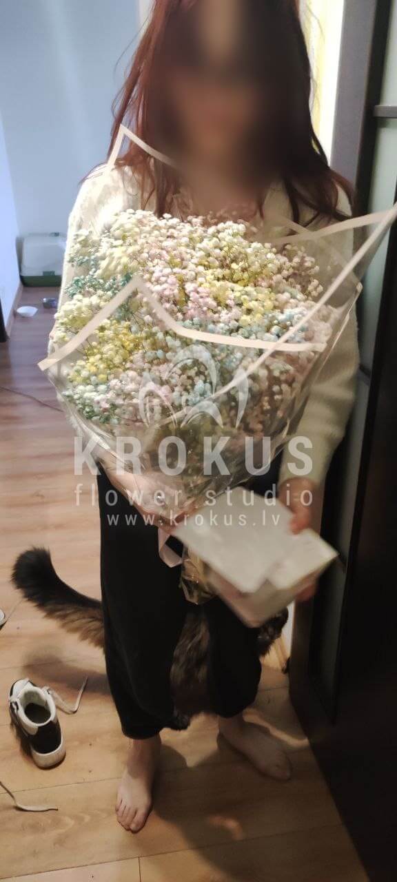 Доставка цветов в город Рига (гипсофила)