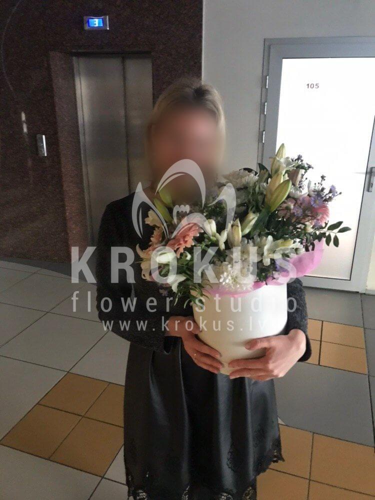 Доставка цветов в город Рига (фрезиилилиистильная коробкахризантемыгерберы)