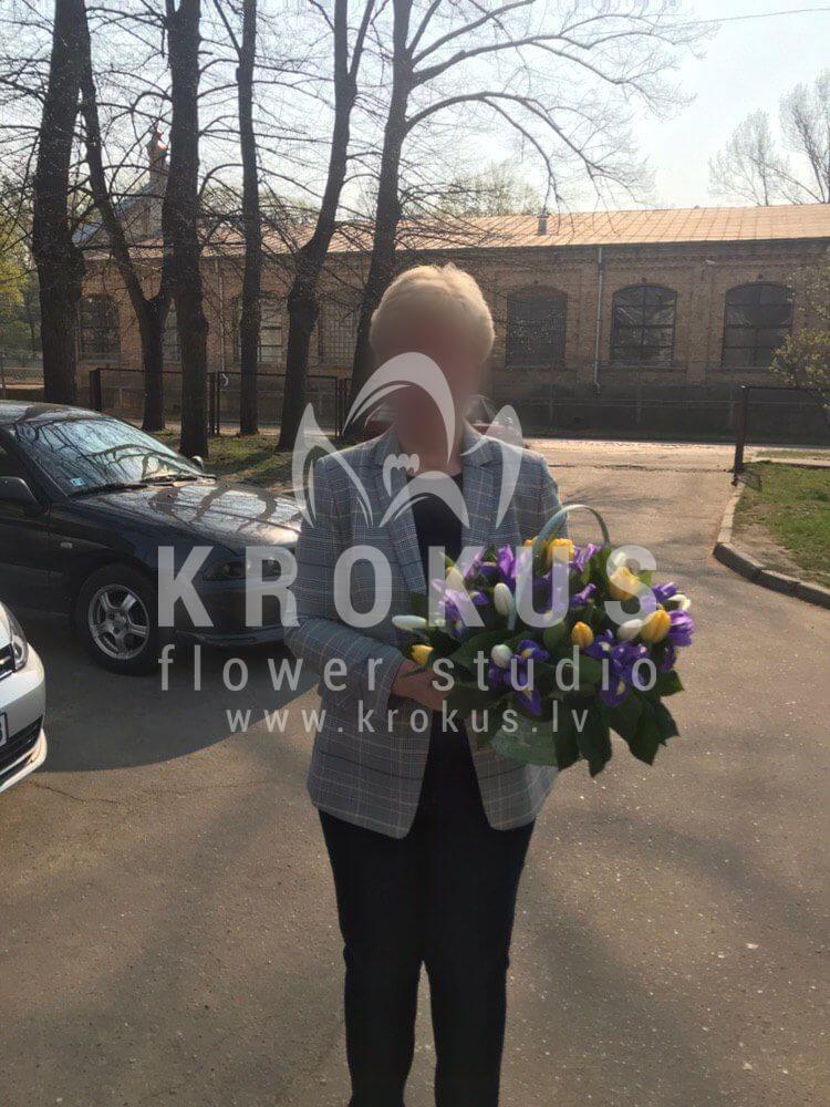 Доставка цветов в город Рига (тюльпаныирисырускуссалал)