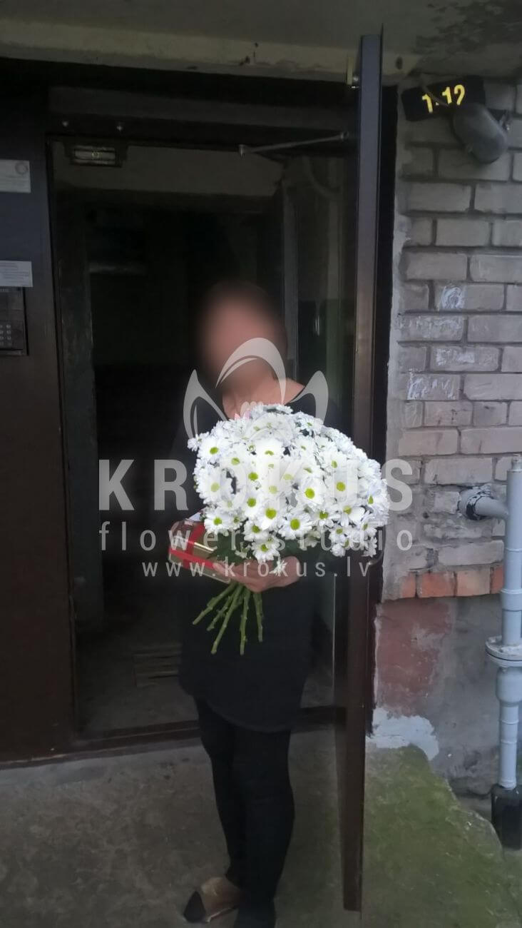 Deliver flowers to Latvia (chrysanthemumscamomiles)