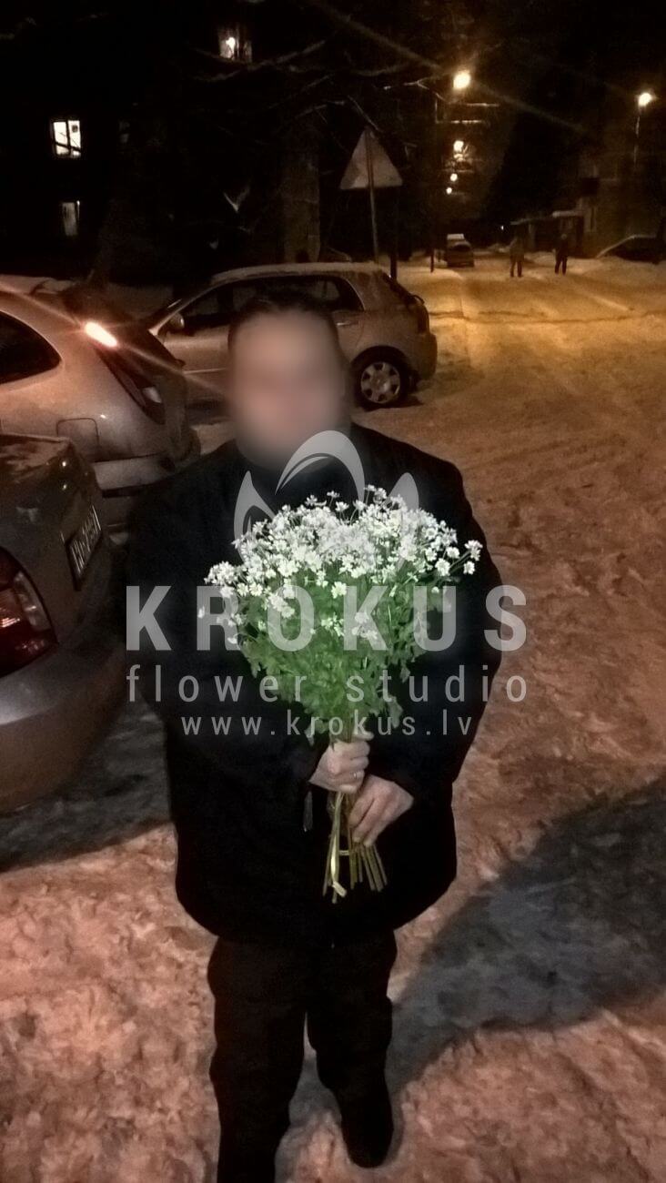 Deliver flowers to Latvia (meadow flowerscamomiles)
