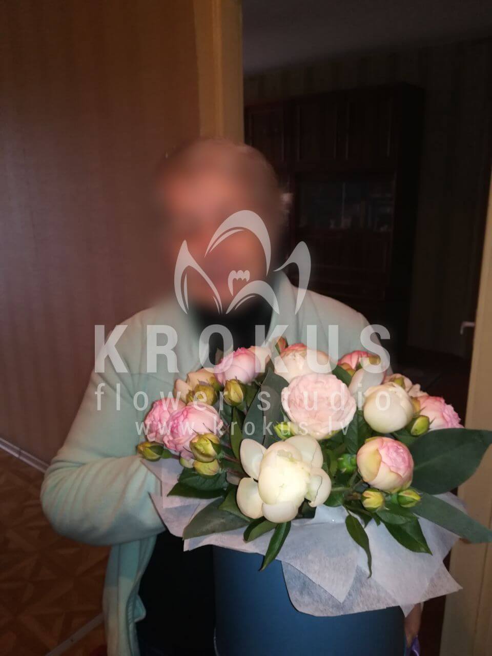 Deliver flowers to Rīga (pistaciastylish boxpeonies)