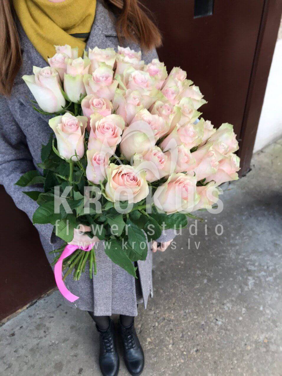 Доставка цветов в город Рига (желтые розы)