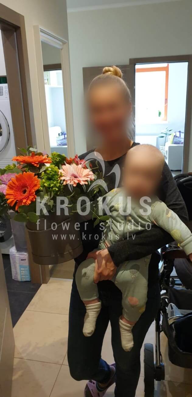 Deliver flowers to Rīga (craspediagum treedaisies)
