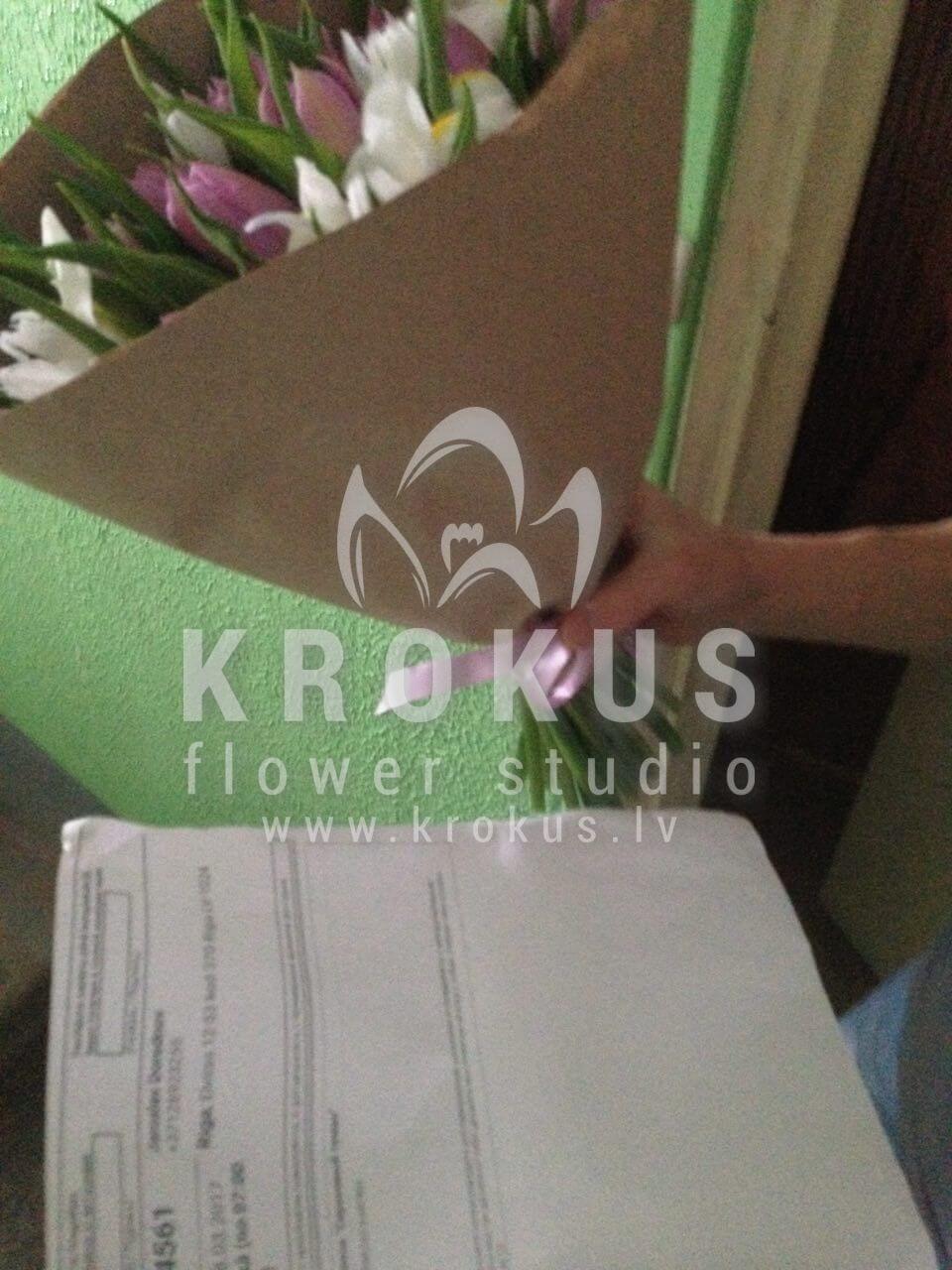 Доставка цветов в город Latvia (тюльпаныфрезиипионовидные тюльпаны)