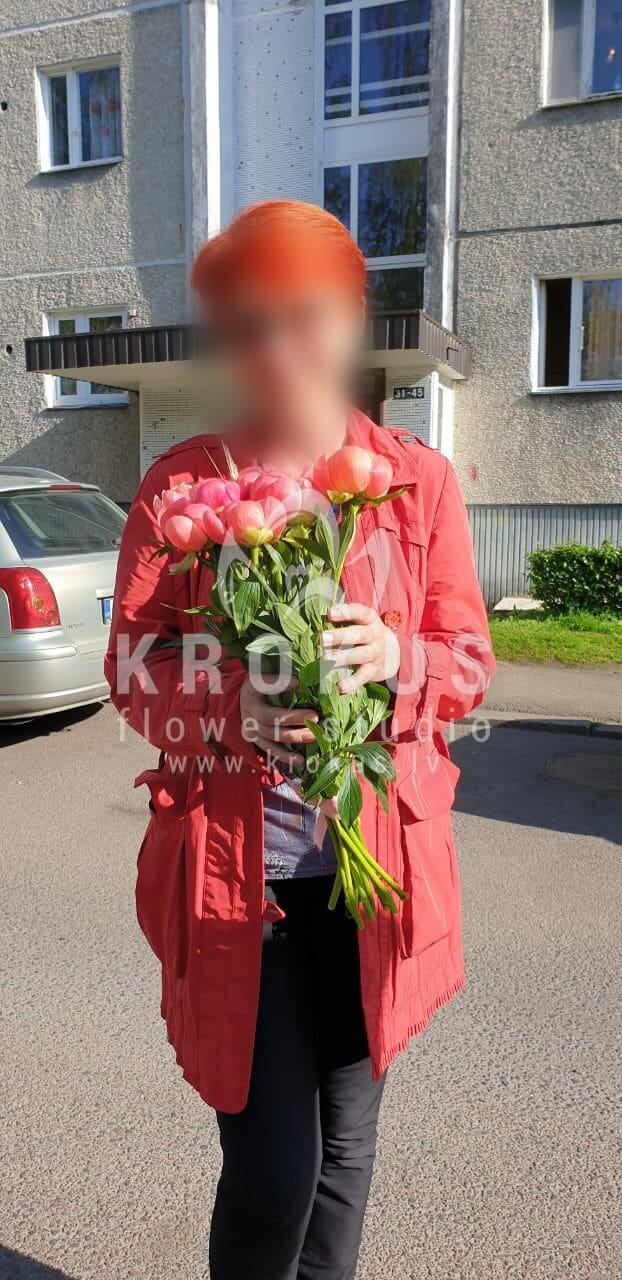 Deliver flowers to Rīga (peonies)