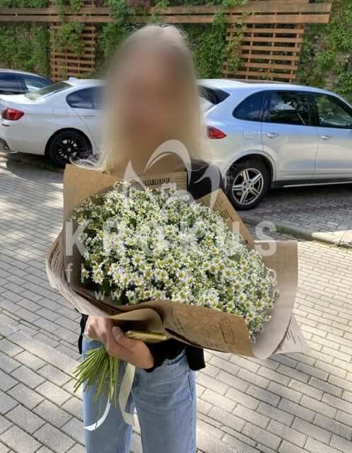 Deliver flowers to Rīga (camomiles)