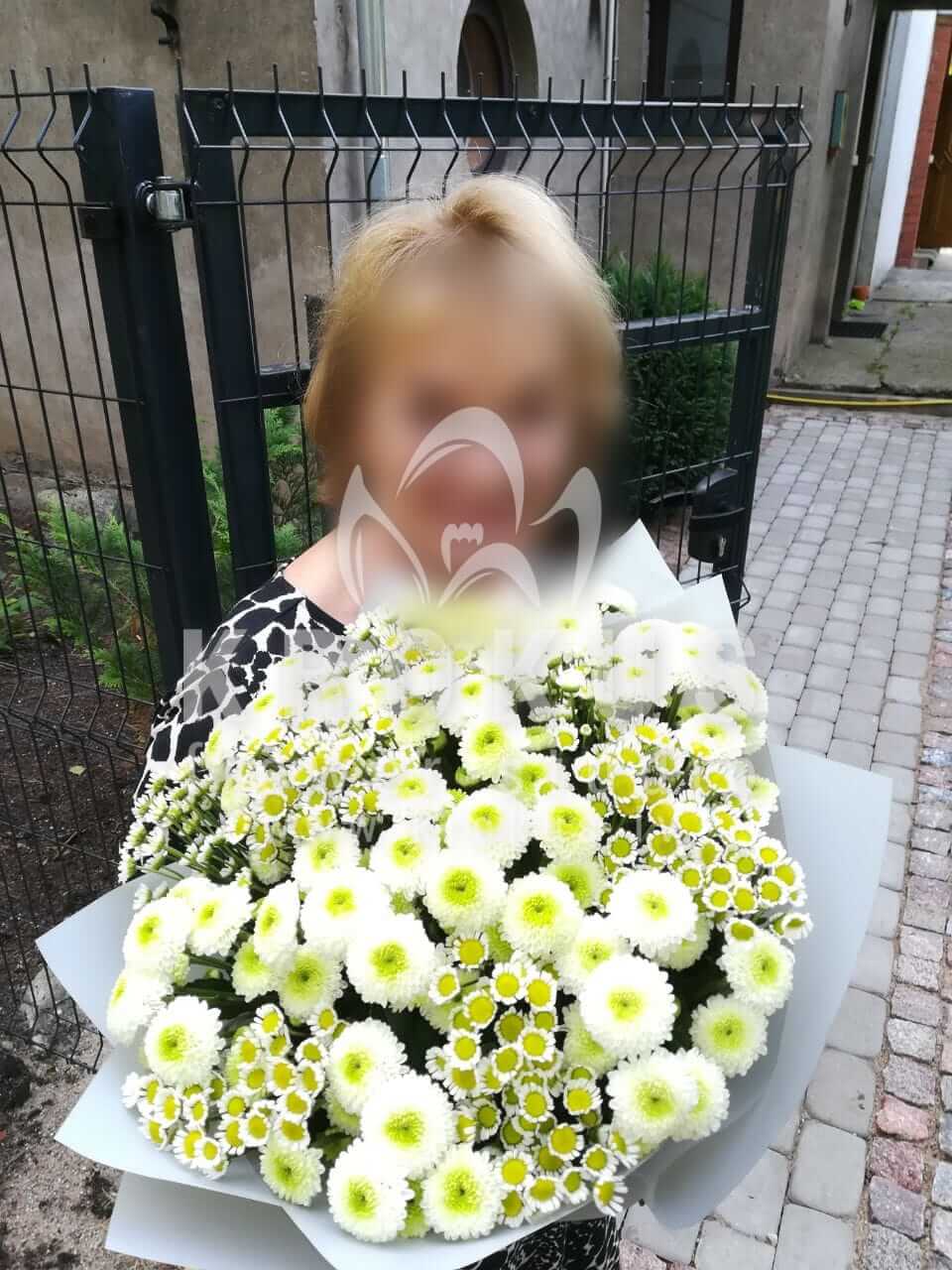 Доставка цветов в город Рига (хризантемыромашки)