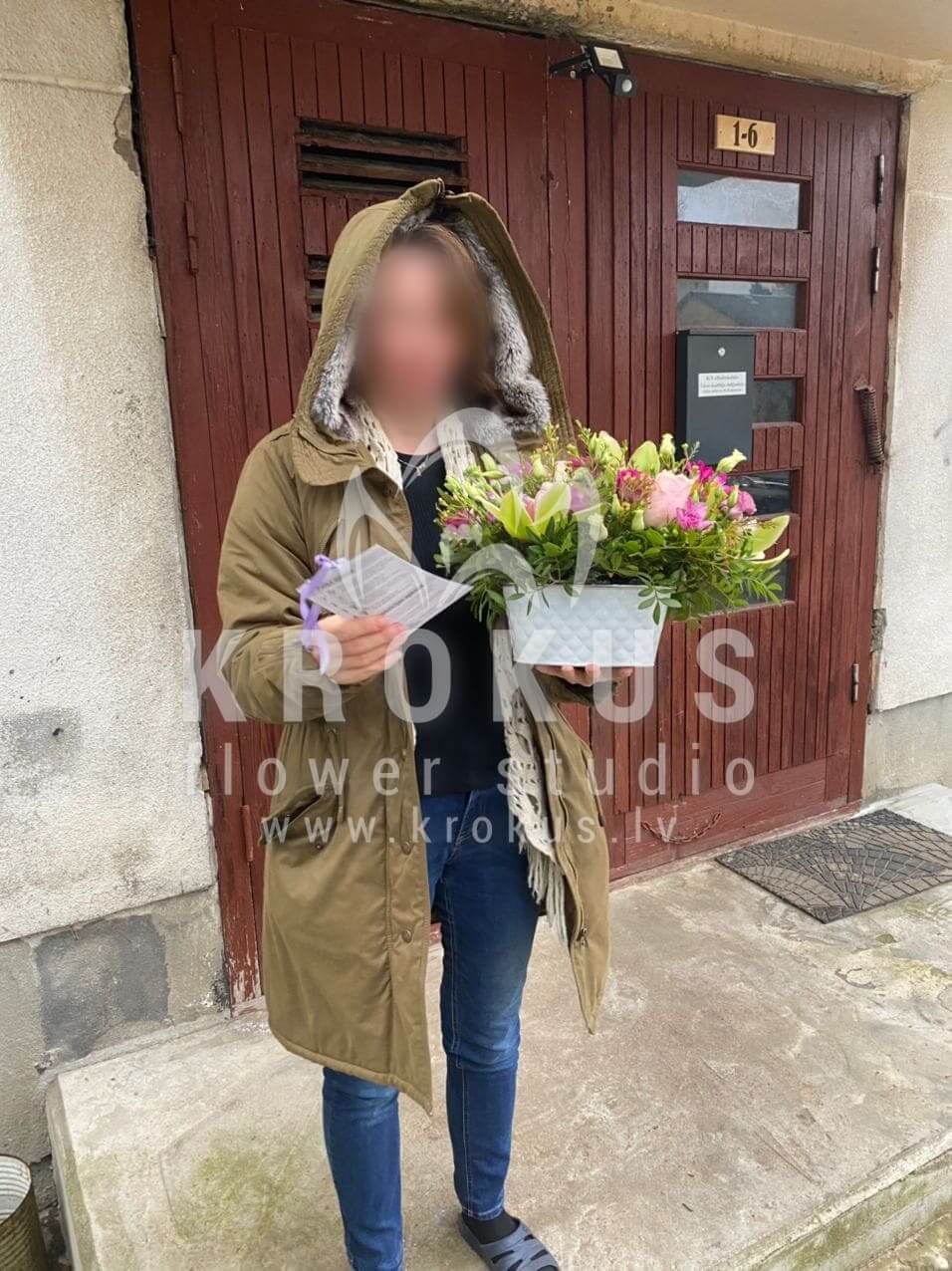 Deliver flowers to Salaspils (shrub rosestulipsfreesiapistaciamatthiolaorchidsroyal tulipslisianthuses (eustoma))