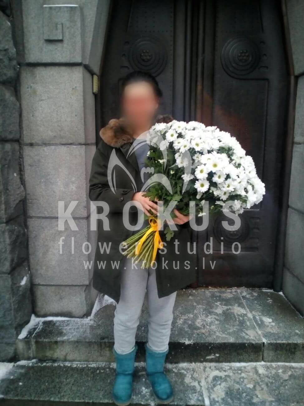 Доставка цветов в город Latvia (хризантемыромашки)