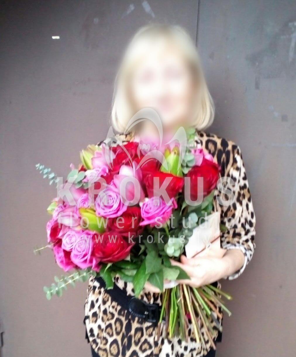 Доставка цветов в город Latvia (розовые розыорхидеилеукадендронэвкалипткрасные розы)