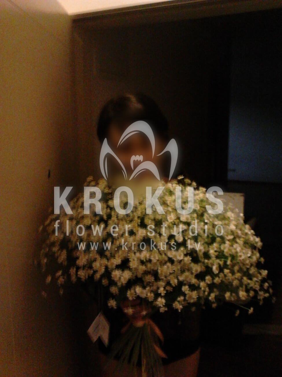 Deliver flowers to Latvia (meadow flowerscamomiles)