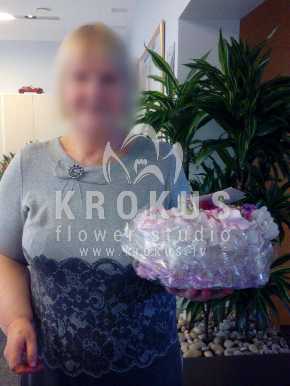 Deliver flowers to Latvia (cloveschrysanthemumshydrangeaswaxflower)