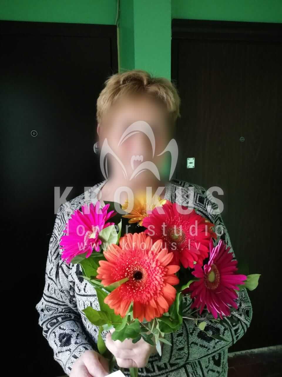 Deliver flowers to Rīga (salaldaisies)