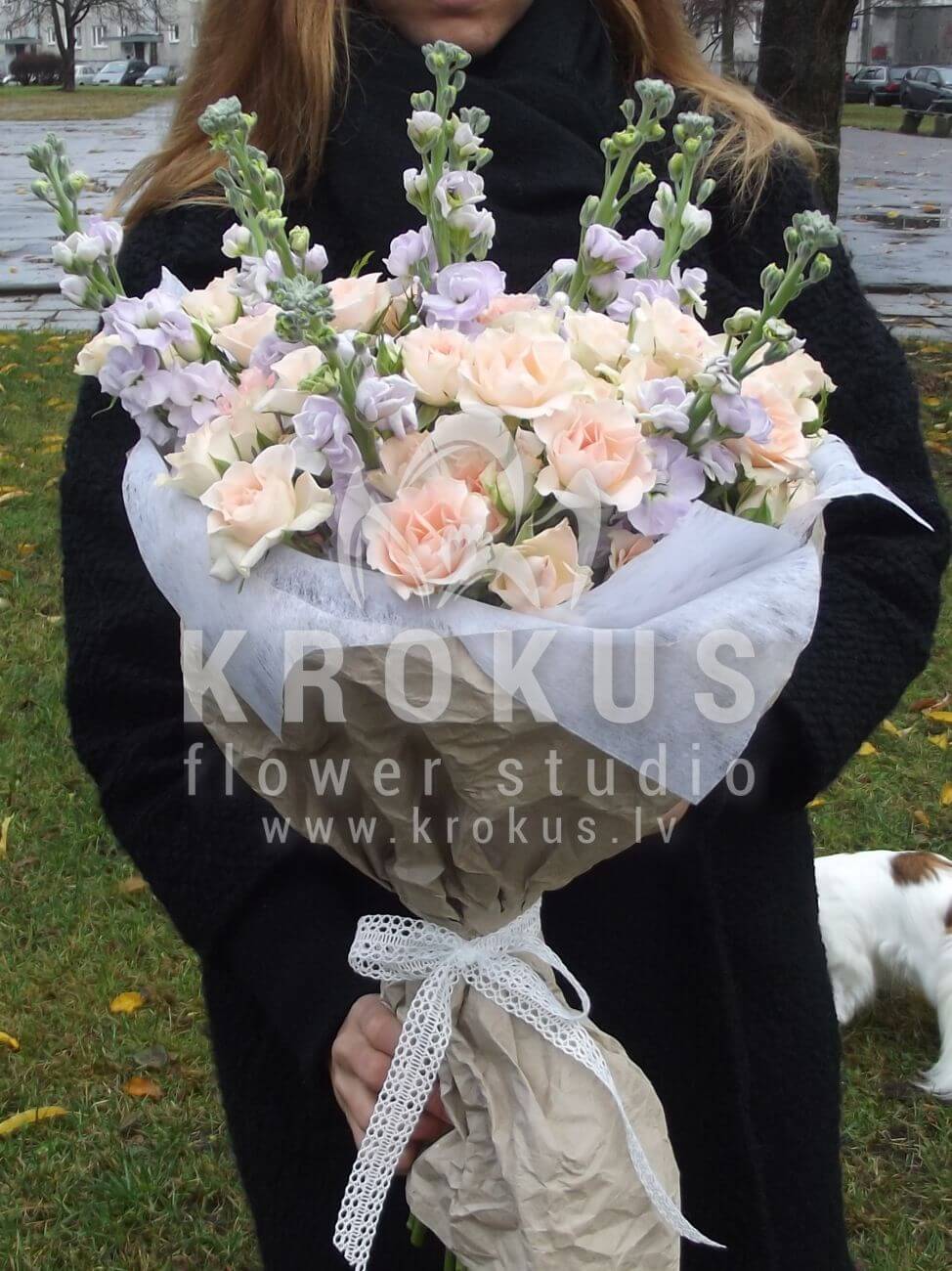 Deliver flowers to Latvia (freesiameadow flowersorchidspeony rosesoxypetalumhydrangeaslavender)