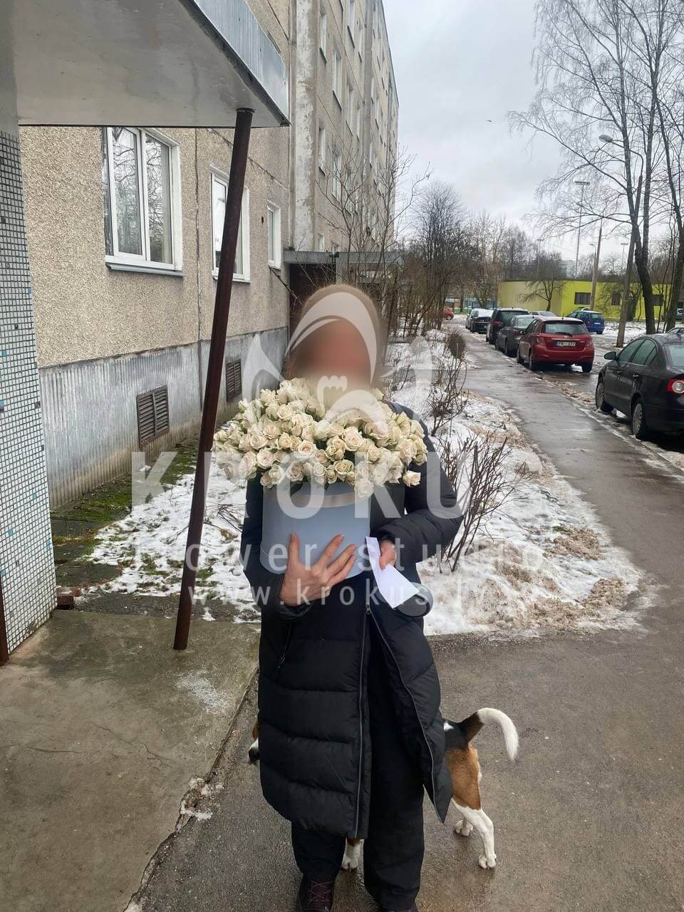Deliver flowers to Rīga (boxshrub roses)